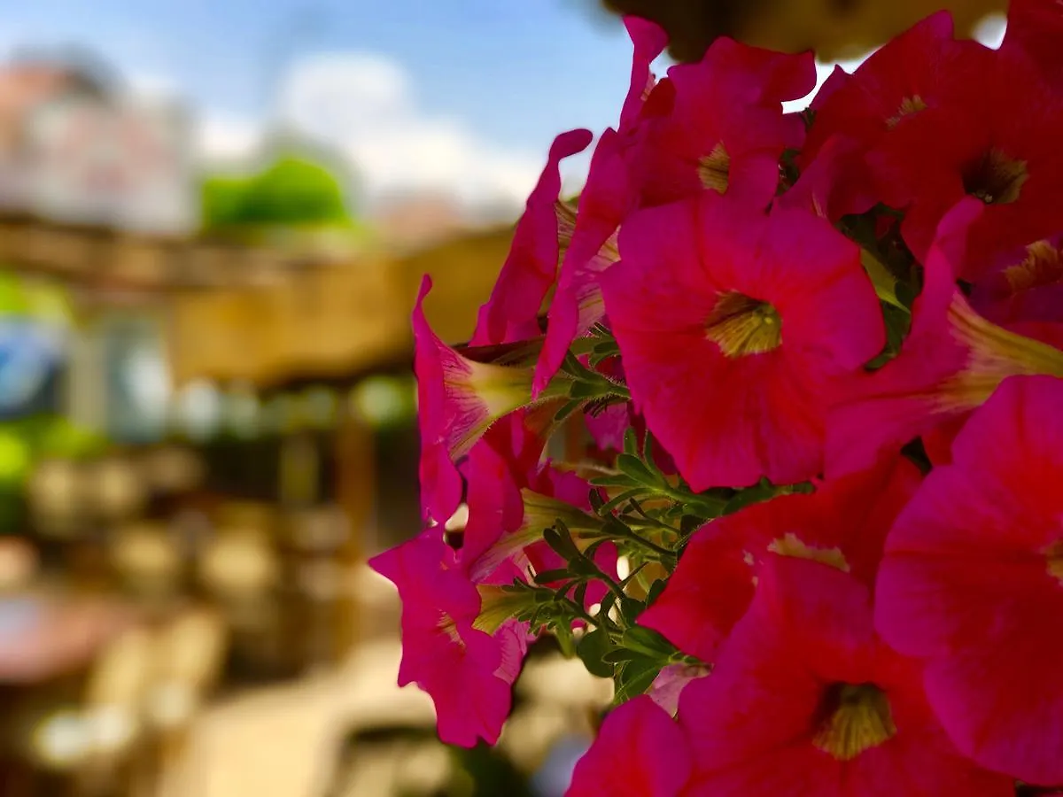 Apart-hotel Nehir Apart Hotel Fethiye
